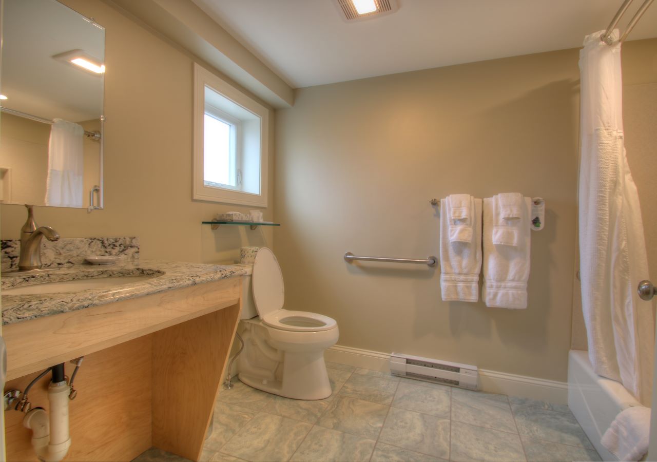 Private bathroom with shower, tub, and wheelchair accessible sink.