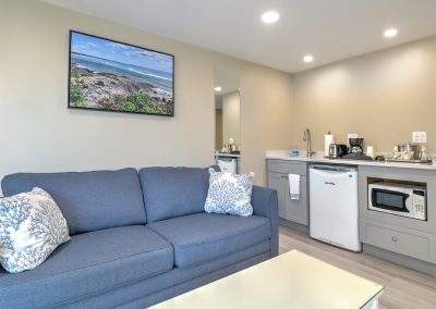 Queen-sized sofa bed and wet bar. Ocean view windows and TV are opposite the sofa.